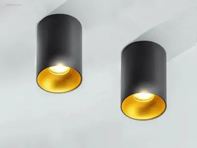 10 x GT Tube plafond spot zwart/goud – kavel bij Auctim, Free delivery within 1-3 weeks after receipt of payment