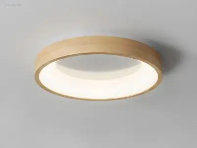 4 x Anello Led Plafond lamp Essen – kavel bij Auctim, Free delivery within 1-3 weeks after receipt of payment