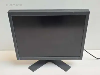 Analoge computer display Eizo – kavel bij Auctim, Aartselaar