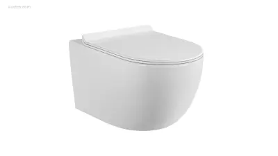 1x Toilet - Wit - Super Flush - Hangend – kavel bij Auctim, Free delivery within 1-3 weeks after receipt of payment
