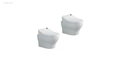 2 sets Intelligente toiletten set - Bidet – kavel bij Auctim, Free delivery within 1-3 weeks after receipt of payment