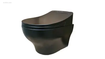 1x Intelligente toilet - Bidet zitting - Mat – kavel bij Auctim, Free delivery within 1-3 weeks after receipt of payment