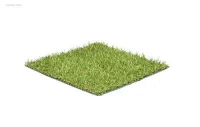 1 rol 4x2m - 20mm poolhoogte – kavel bij Auctim, Free delivery within 1-3 weeks after receipt of payment