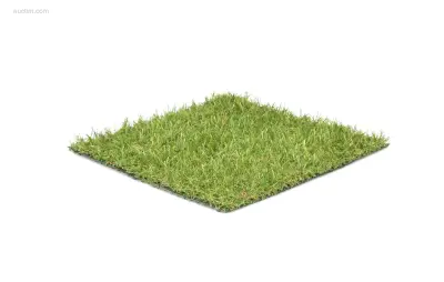 1 rol 5x2m - 20mm poolhoogte – kavel bij Auctim, Free delivery within 1-3 weeks after receipt of payment