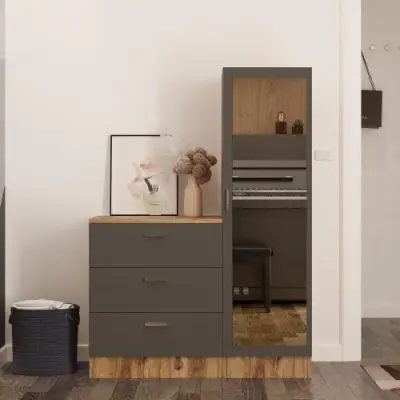 CC6 Multifunctionele kast | 100% MELAMINE | Atlantisch grenen, antraciet – kavel bij Openbare Verkopen, Beveren-Leie