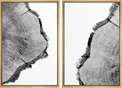 SIGNFORD Canvas foto's, zwart-wit boom ring – kavel bij Openbare Verkopen, Brugge
