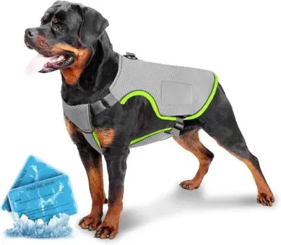 Koelvest voor honden, XXL – kavel bij Openbare Verkopen, Brugge