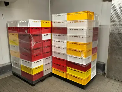 Pallet of 36 plastic crates (3x) – kavel bij Dome Auctions, Kingersheim