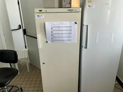 LIEBHERR Refrigerator – kavel bij Dome Auctions, Kingersheim