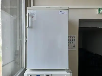 ESSENTIEL B Refrigerator – kavel bij Dome Auctions, Kingersheim