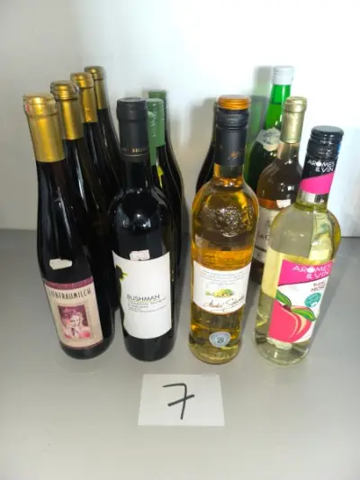 Een set van 15 flessen diverse witte wijnen – kavel bij Auctionline, Anderlecht