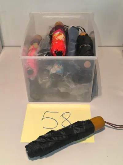 Een set van 17 paraplu’s – kavel bij Auctionline, Anderlecht
