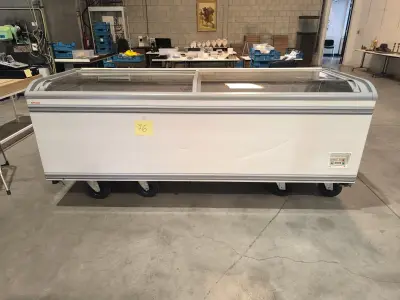 Een diepvrieskist met 2 glazen schuifdeuren van het merk AHT (250x87x82) – kavel bij Auctionline, Anderlecht