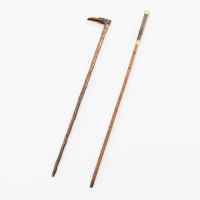 Two walking sticks – kavel bij Bernaerts, Antwerp