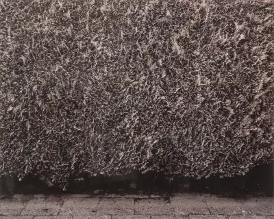 Pieter huybrechts (°1977) – kavel bij Bernaerts, Antwerp