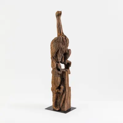 Sakalava Mijoa vogel. Kamferhout – kavel bij Bernaerts, Antwerp
