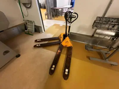 JUNGHEINRICH Pallet Jack (2) – kavel bij Dome Auctions, Kingersheim