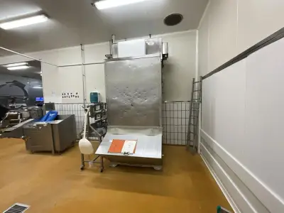 MAJA VBA 555 Flake Ice Maker – kavel bij Dome Auctions, Kingersheim