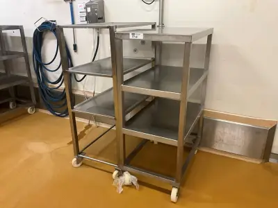 Set of 2 3-tier stainless steel carts – kavel bij Dome Auctions, Kingersheim