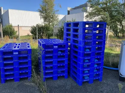 Set of 24 plastic pallets – kavel bij Dome Auctions, Kingersheim