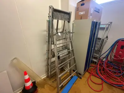 DISTEL Ladder – kavel bij Dome Auctions, Kingersheim