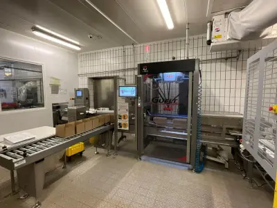 2019 GUELT Izipick 114 Robotic Case Packing Machine – kavel bij Dome Auctions, Kingersheim