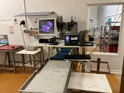 Computer Workstation – kavel bij Dome Auctions, Kingersheim
