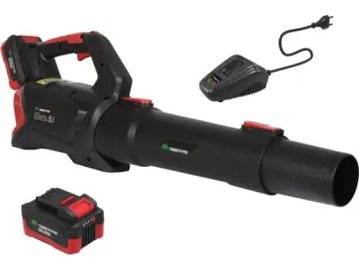 Bladblazer Elektrisch - 20V - 2Ah Batterij - Zwart – kavel bij XL Auctions