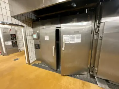 MAURER-SÖHNE Industrial Wood-Fired Baking/Smoking Chamber – kavel bij Dome Auctions, Kingersheim