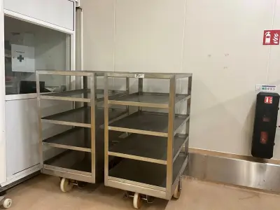 Set of 2 5-tier stainless steel carts – kavel bij Dome Auctions, Kingersheim