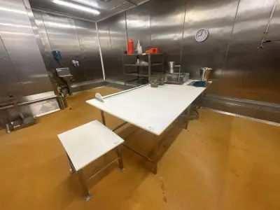 Set of 2 Teflon work tables + stainless steel cart with contents – kavel bij Dome Auctions, Kingersheim