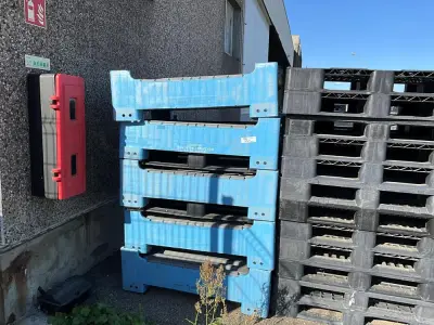 Set of 5 crates - plastic pallet – kavel bij Dome Auctions, Kingersheim