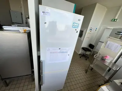 LG Refrigerator-Freezer Combination – kavel bij Dome Auctions, Kingersheim