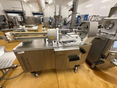 2021 HANDTMANN PVLH 228 plus Sausage Portioning and Tying Machine – kavel bij Dome Auctions, Kingersheim