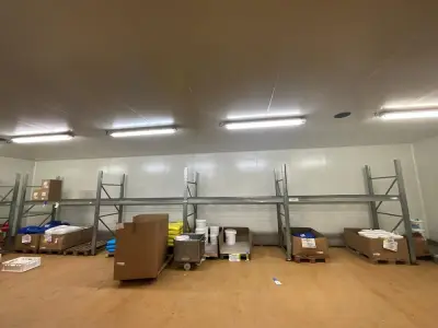 Racks – kavel bij Dome Auctions, Kingersheim