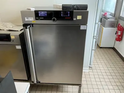 MEMMERT IPP260ecoplus Laboratory Incubator – kavel bij Dome Auctions, Kingersheim