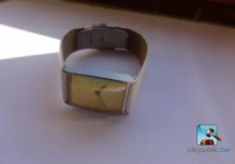 Watch – kavel bij En.clicpublic