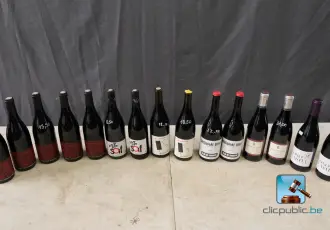 Batch of red wine bottles – kavel bij En.clicpublic