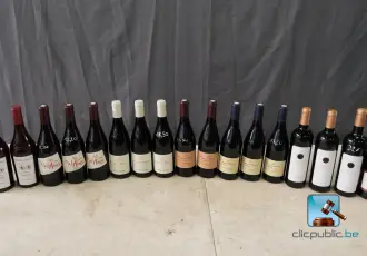 Batch of red wine bottles – kavel bij En.clicpublic
