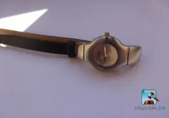 Watch – kavel bij En.clicpublic