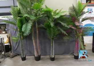 Set of artificial palm trees – kavel bij En.clicpublic