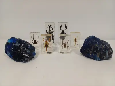 Lot natuurobjecten – kavel bij De Kringwinkel, Ronse
