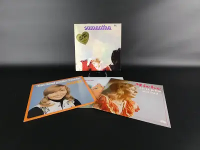 Set van 4 vintage Nederlandstalige LP's – kavel bij De Kringwinkel, Heverlee