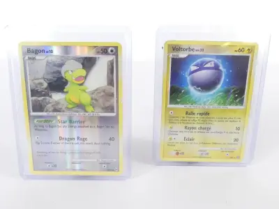 2 Pokémon kaarten: Bagon en Voltorbe (shiny) – kavel bij De Kringwinkel, Heverlee