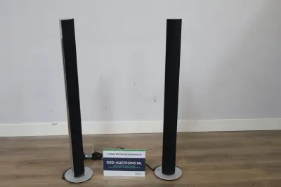 Set van 2 Bang & Olufsen Luidsprekers – kavel bij GSD Auctions, Zoeterwoude