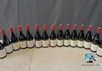 Batch of red wine bottles – kavel bij En.clicpublic
