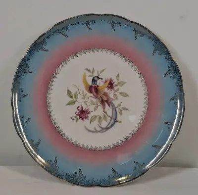 Decoratief bord ‘Oiseaux des Îles’ van Digoin & Sarreguemines – kavel bij De Kringwinkel, Geraardsbergen