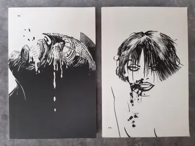 Strips: Sin City vol. 1&2 – kavel bij De Kringwinkel, Gent