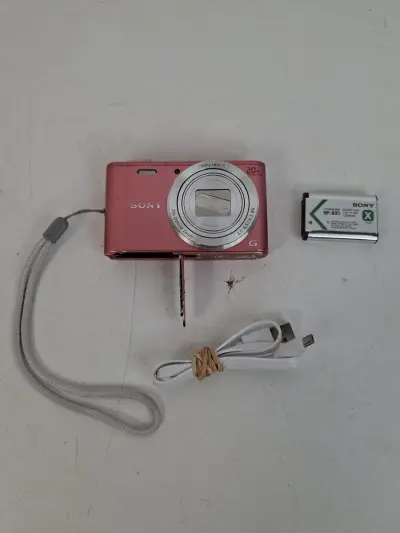 Sony Cyber-shot DSC-WX350 Compactcamera (Roze) – 20x Optische Zoom & Wi-Fi! – kavel bij De Kringwinkel, Waardamme