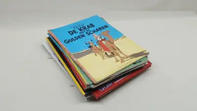 Lot Kuifje met strips, boeken en wandpaneel – kavel bij De Kringwinkel, Zottegem